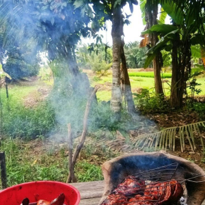 Hình ảnh 4