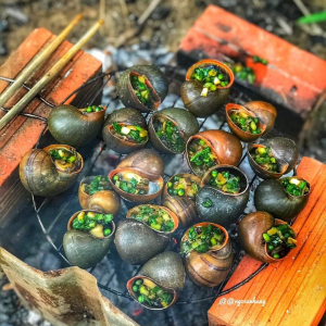 Hình ảnh 2